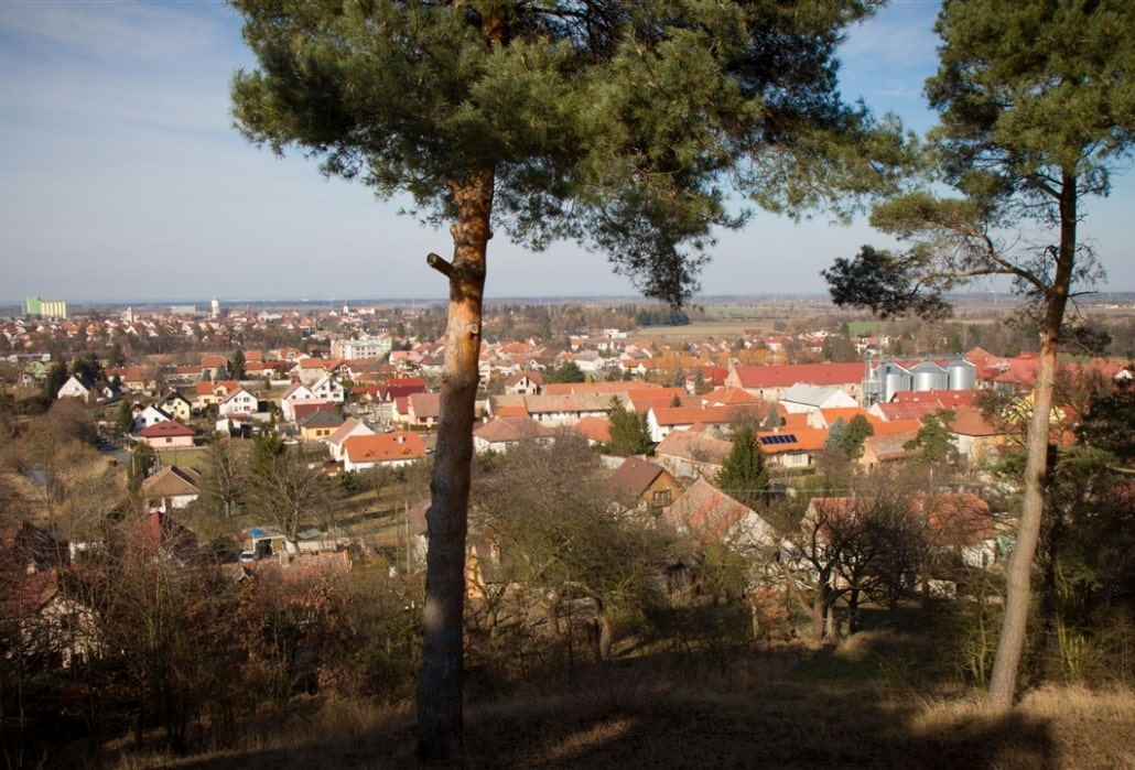 Obec Dobřichov